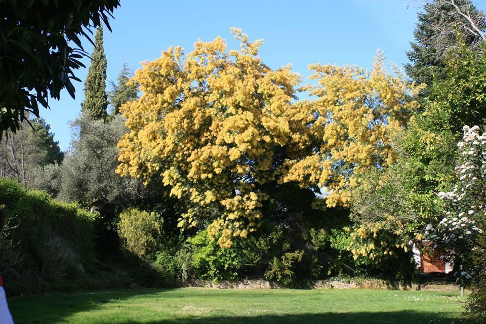 Rancho La Herradura Arenas de San Pedro Bilik gambar